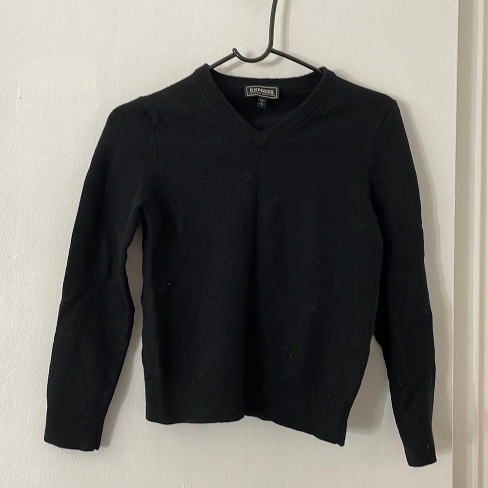 Express V-Cut Merino Wool Sweater
